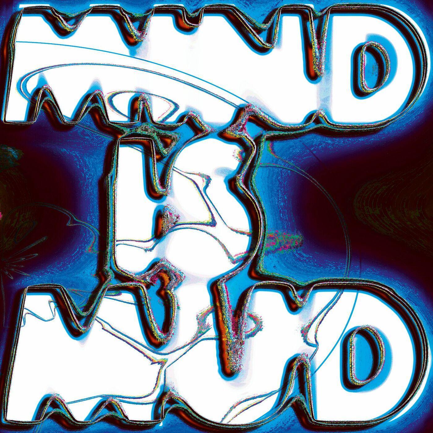 Mind Is Mud - Céline Gillain