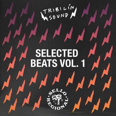 Selected Beats, Vol. 1 - Tribilin Sound
