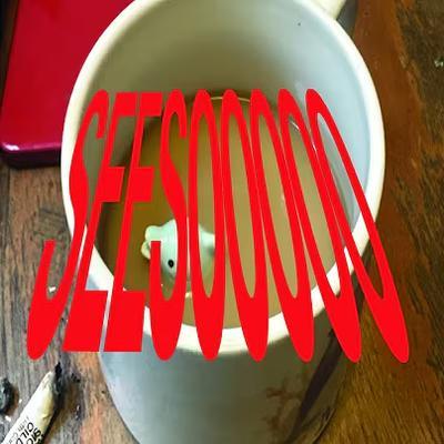  - ses00000