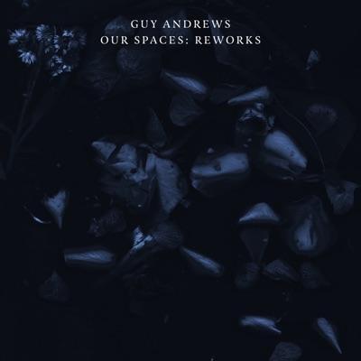 Our Spaces: Reworks - Guy Andrews