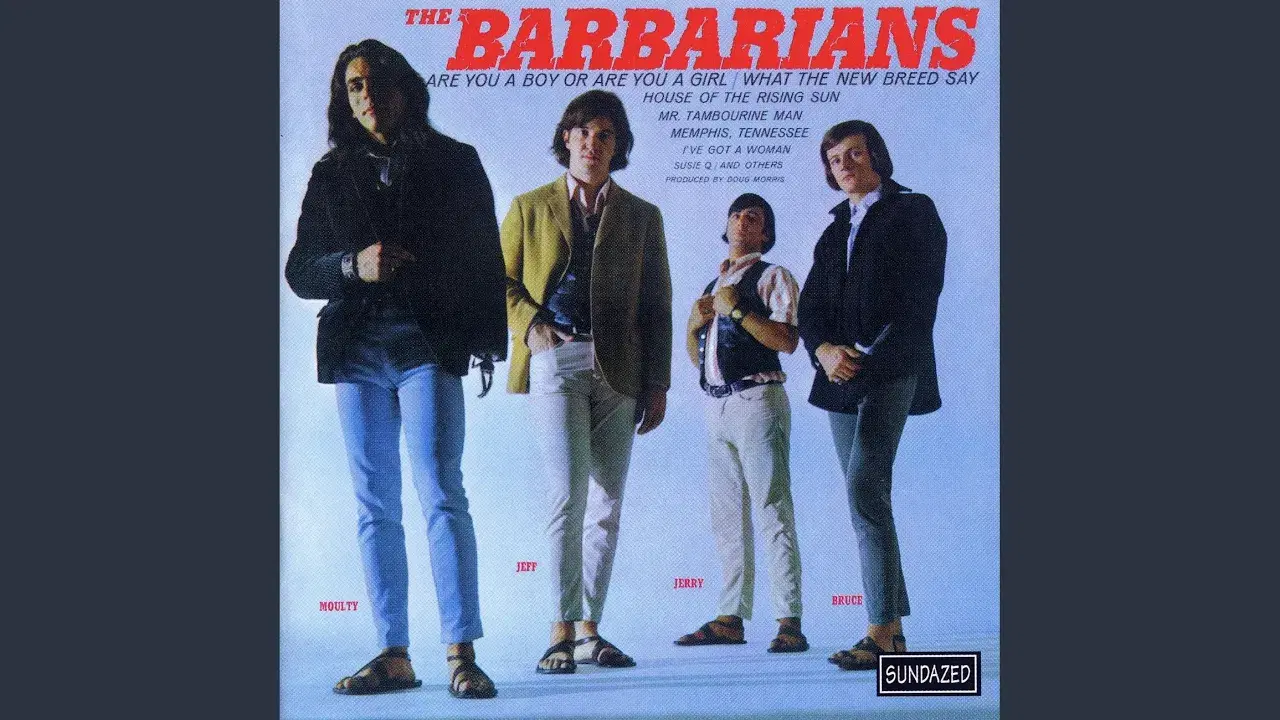 Nuggets: Original Artyfacts From The First Psychedelic Era (1965-1968) [CD 4] - The Barbarians