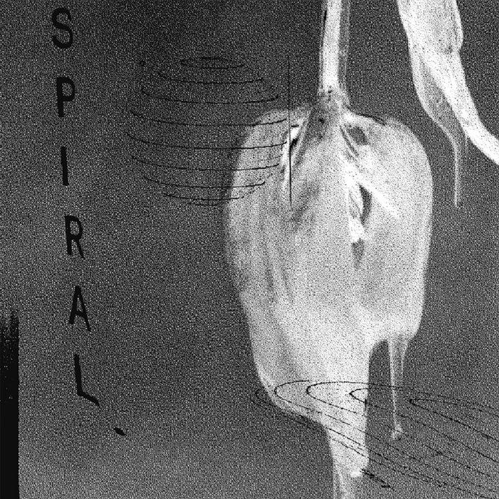 The Spiral - Loopsel