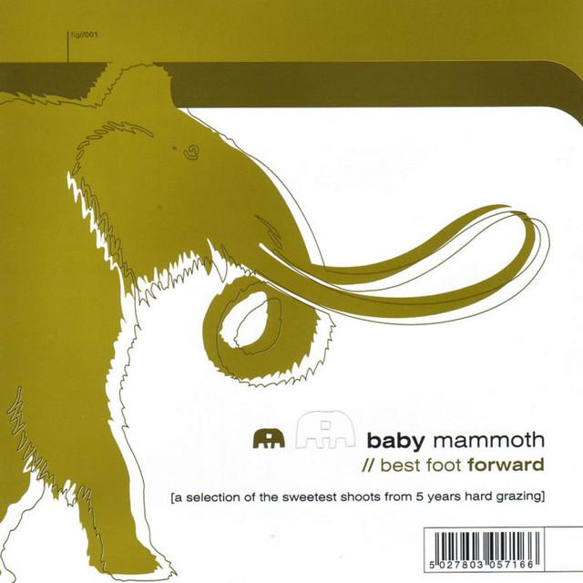 Bulky Cha Chi / Mysterious Muses / The Devil Lies - Baby Mammoth