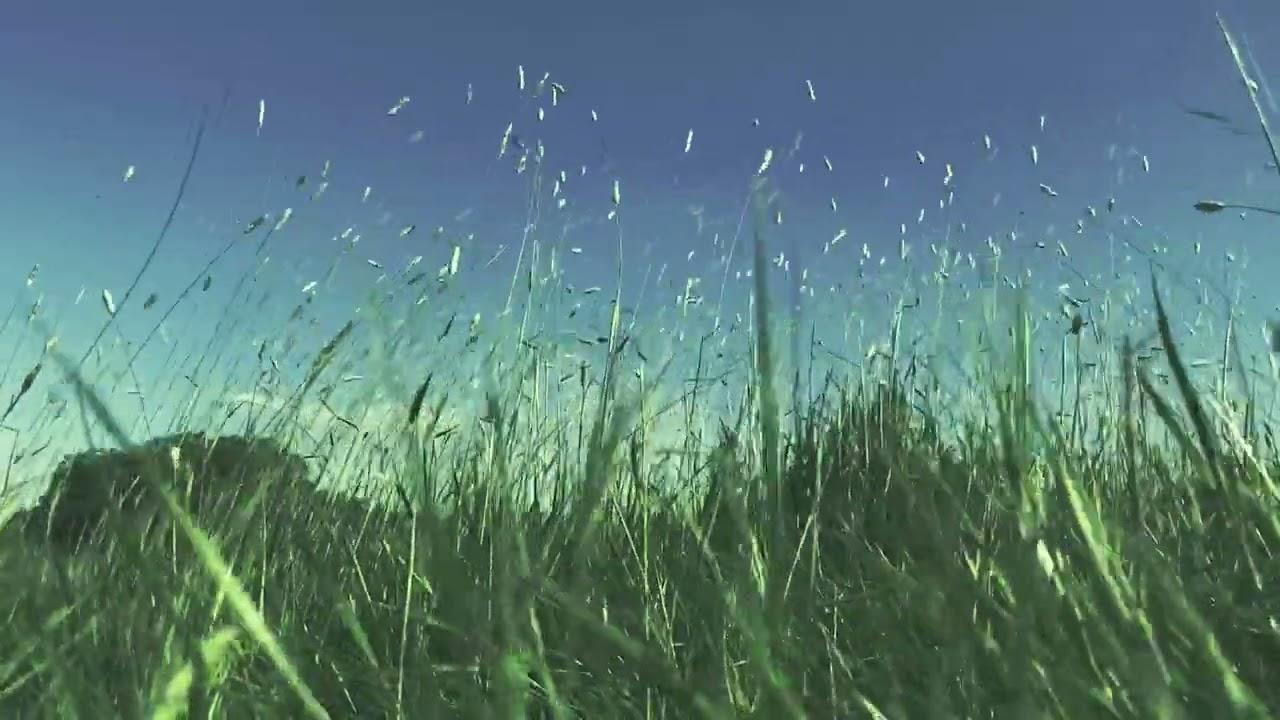 Hypnotic Vibes - David Cane Hardy