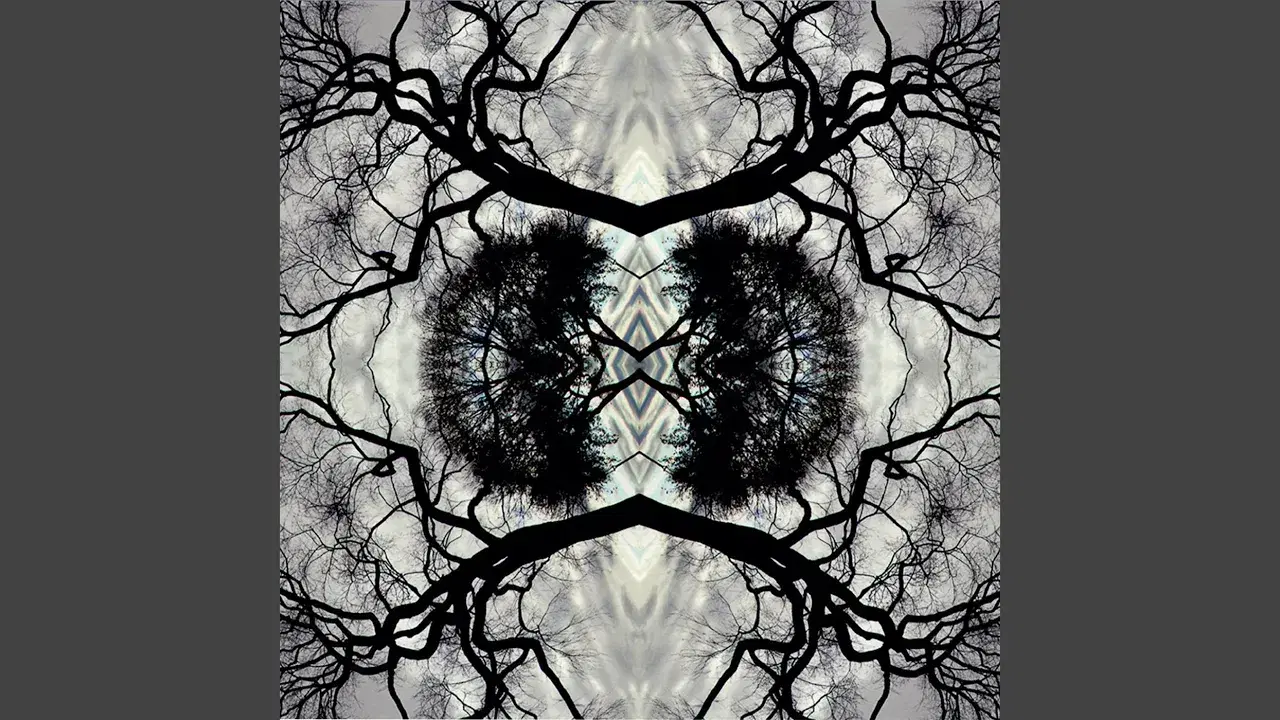 Sonic Mandala - Adam Rudolph