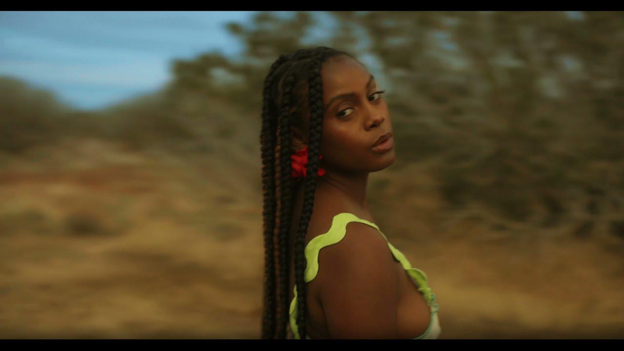wild horses - Fana Hues