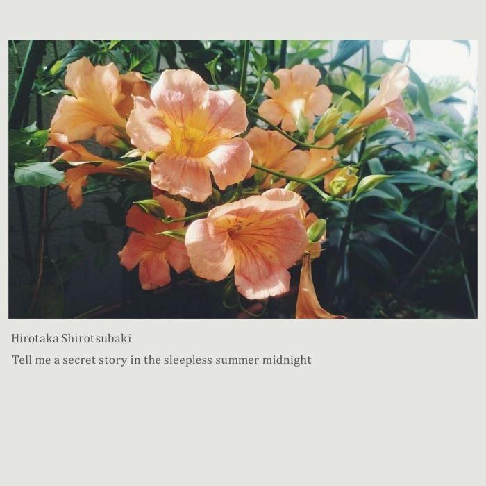 Tell Me A Secret Story In The Sleepless Summer Midnight - Hirotaka Shirotsubaki