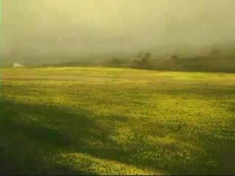 Lite - Amour