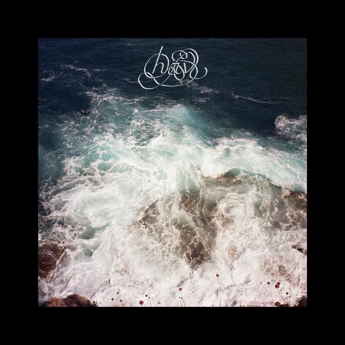 Hav - Whitney Johnson