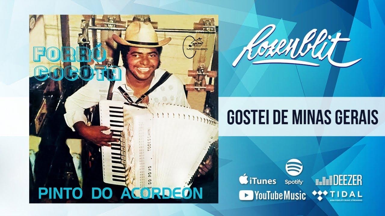 Forró Cocota - Pinto do Acordeon