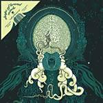Craft Of The Lost Art - Shape of Broad Minds