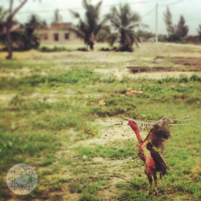 NOISE ON EARTH Vol.0 ♞ AniMauX - Les Cartes Postales Sonores