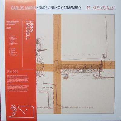 Mr. Wollogallu (AIFF) - Carlos Maria trindade; Nuno Canavarro