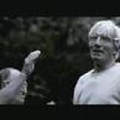  - The Optimistics