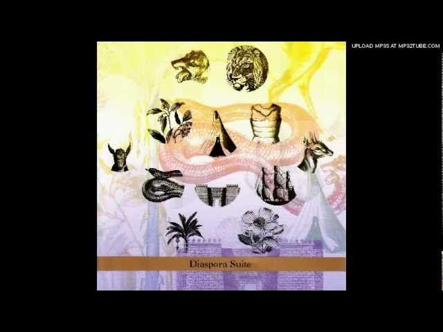 Unknown - Steven Bernstein
