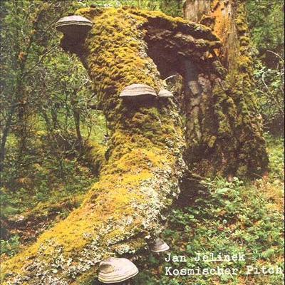 Kosmischer Pitch - Jan Jelinek
