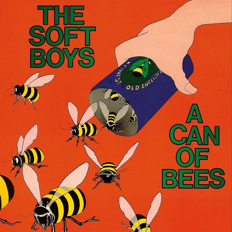 A Can of Bees - The Soft Boys