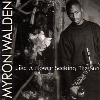 Like A Flower Seeking The Sun - Myron Walden