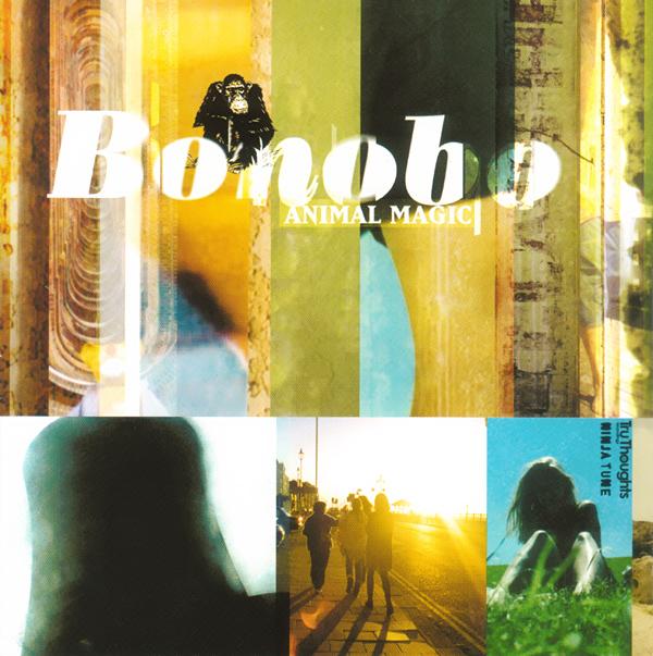 Animal Magic - Bonobo
