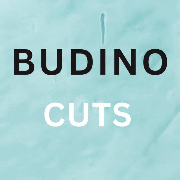 Budino Cuts - Budino