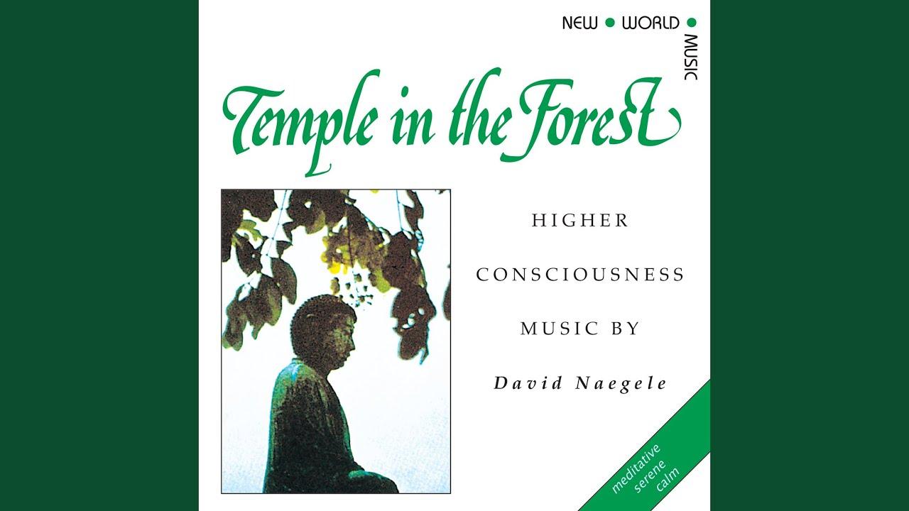 Temple In The Forest - David Naegele