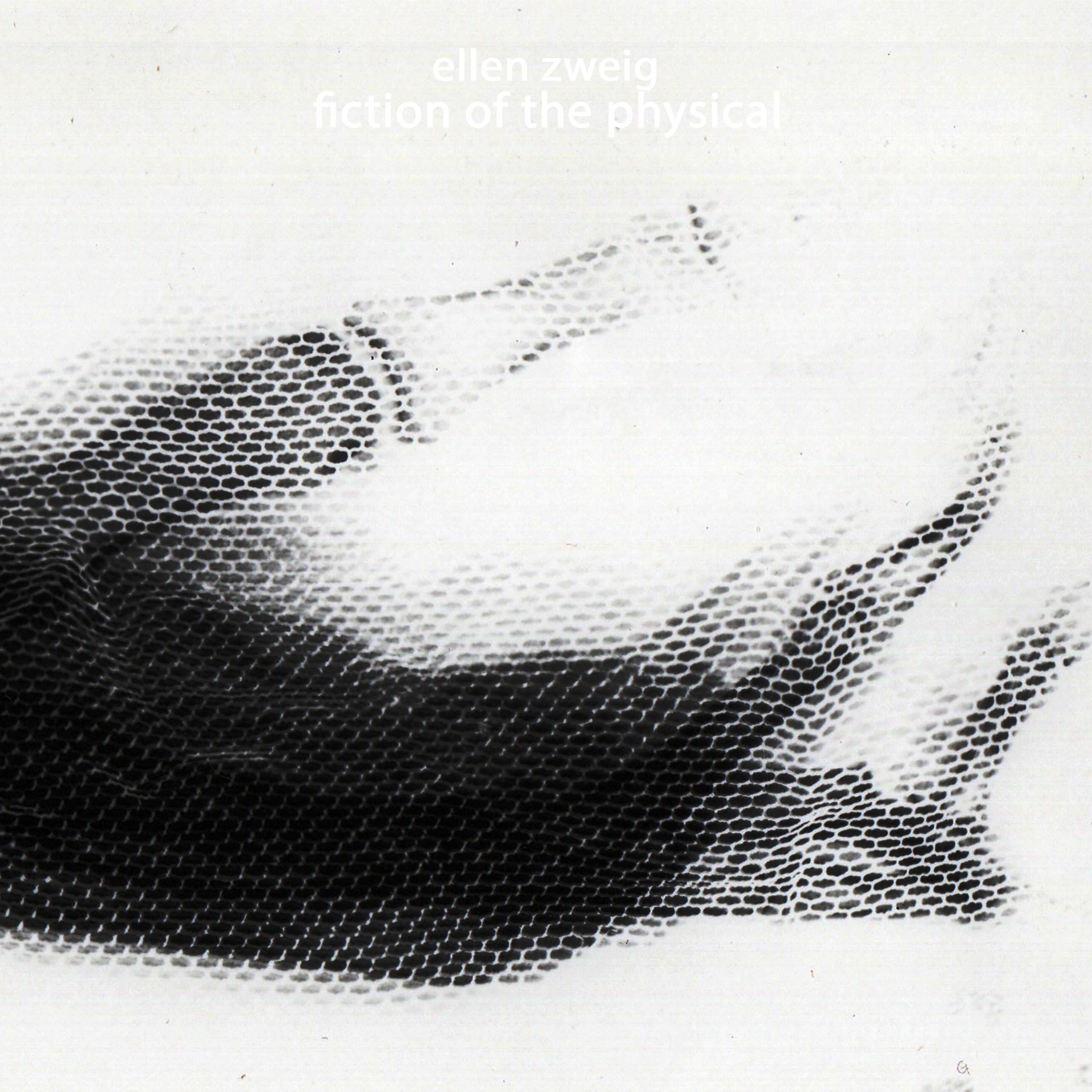 Fiction Of The Physical - Ellen Zweig