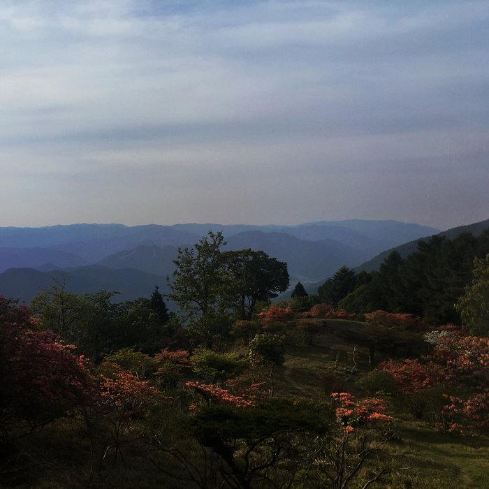Sè Shòu Hún Yǔ - Sun Dawei