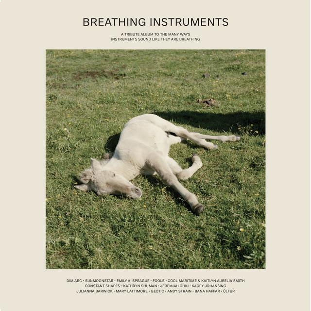 Touchtheplants Presents: Breathing Instruments - Kacey Johansing