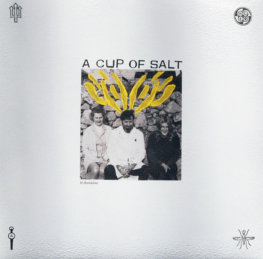 A Cup Of Salt - H. Hawkline