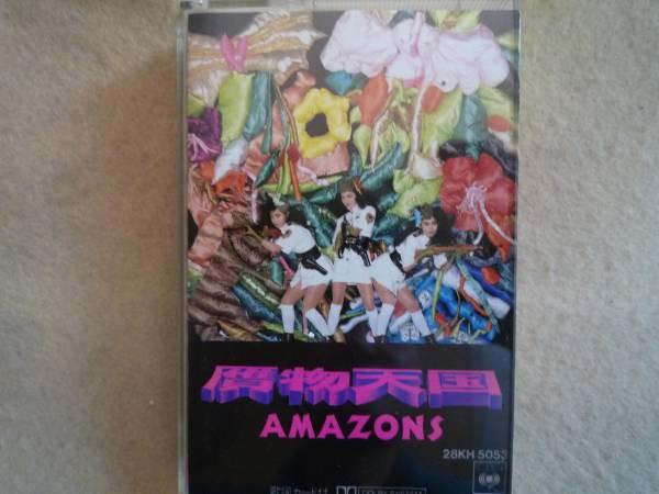  - Amazons