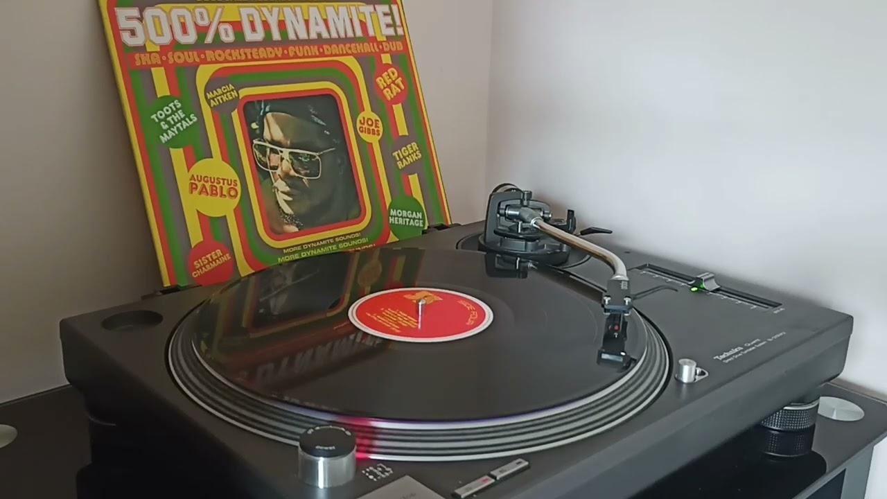 500% Dynamite - Tiger Ranks