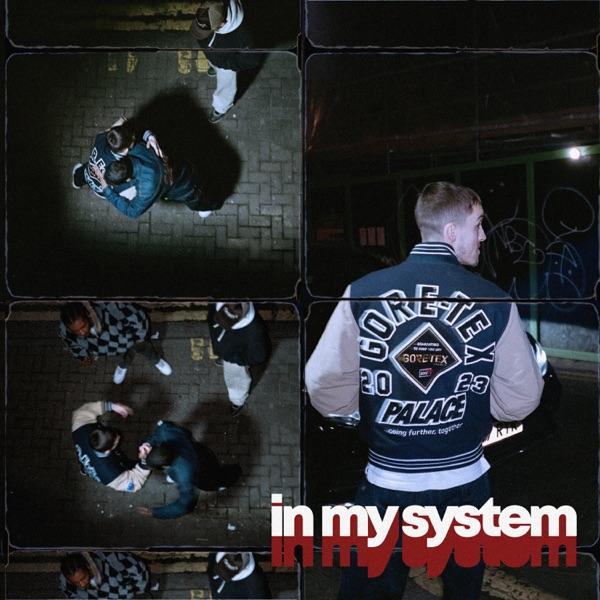 In My System (feat. BenjiFlow) - Single - Wilfy D