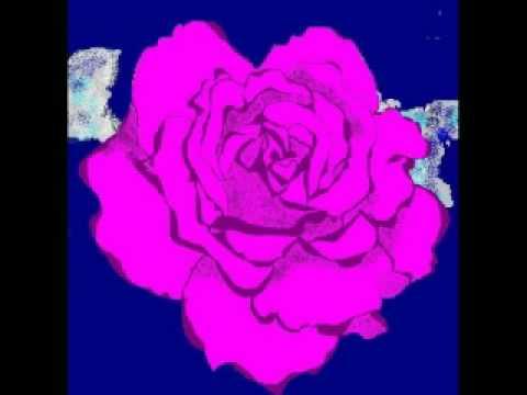 Freq - Robert Calvert