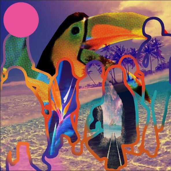 Paradise Freaks - Seahawks