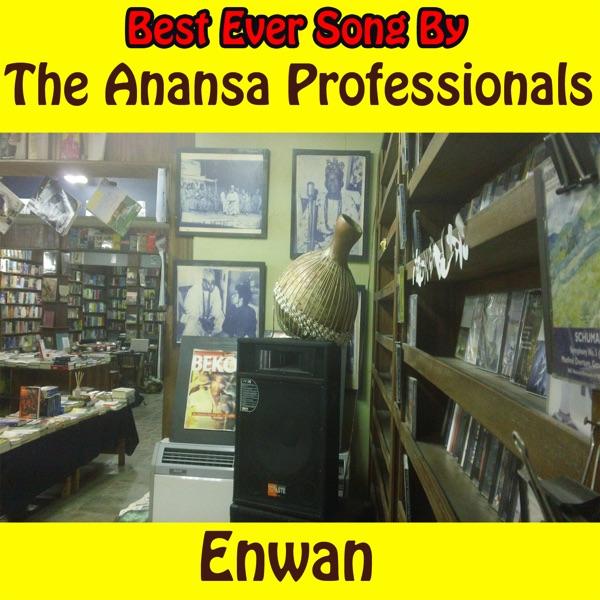 null - The Anansa Professionals