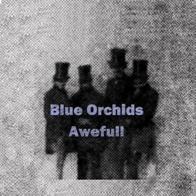  - Blue Orchids