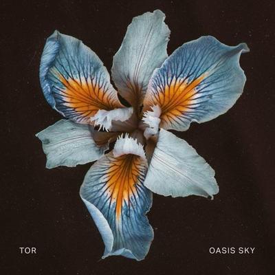 Oasis Sky - TOR