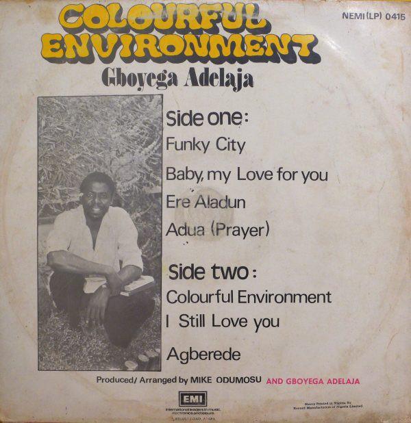 Colourful Environment - Gboyega Adelaja