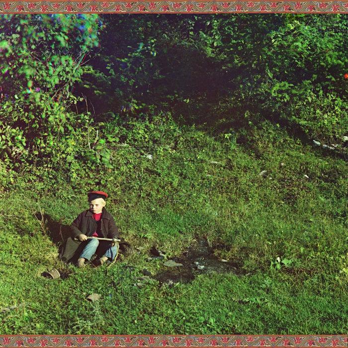 No Time To Hurry - foresteppe