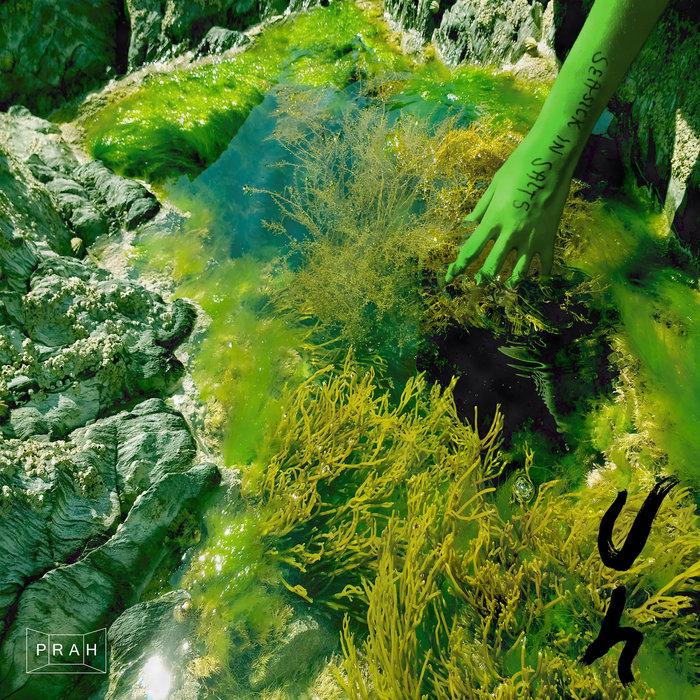 Seasick in Salts - uh