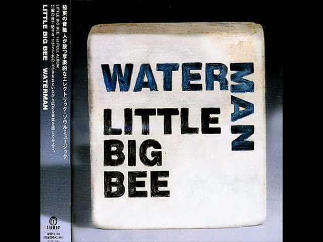  - Little Big Bee
