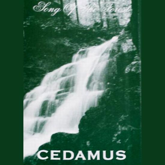 Song Of The Forest - Cedamus