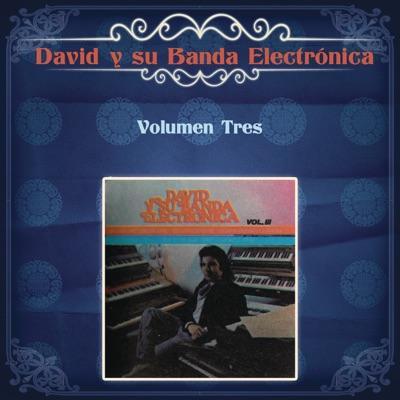 Vol 3 - David y su Banda Electronica