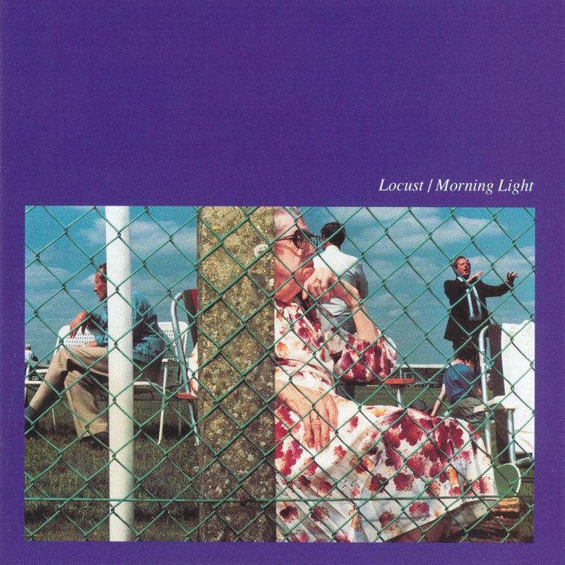 Morning Light - Locust