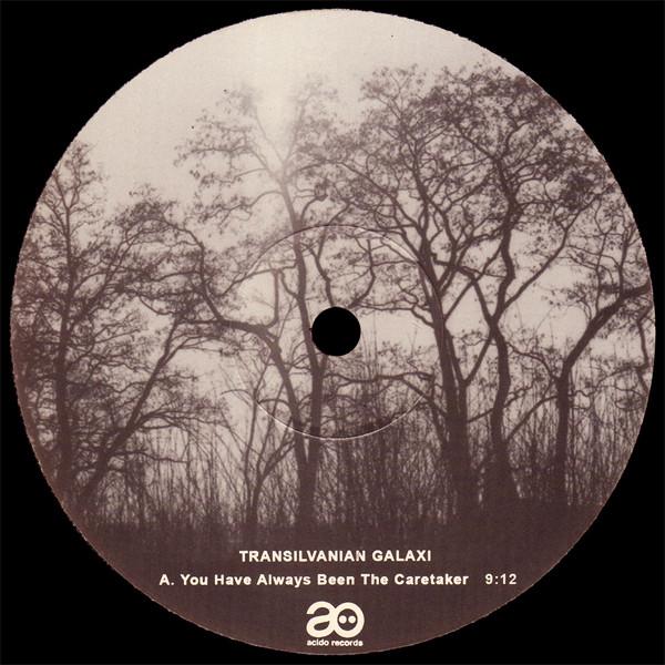 You Have Always Been the Caretaker - Transilvanian Galaxi