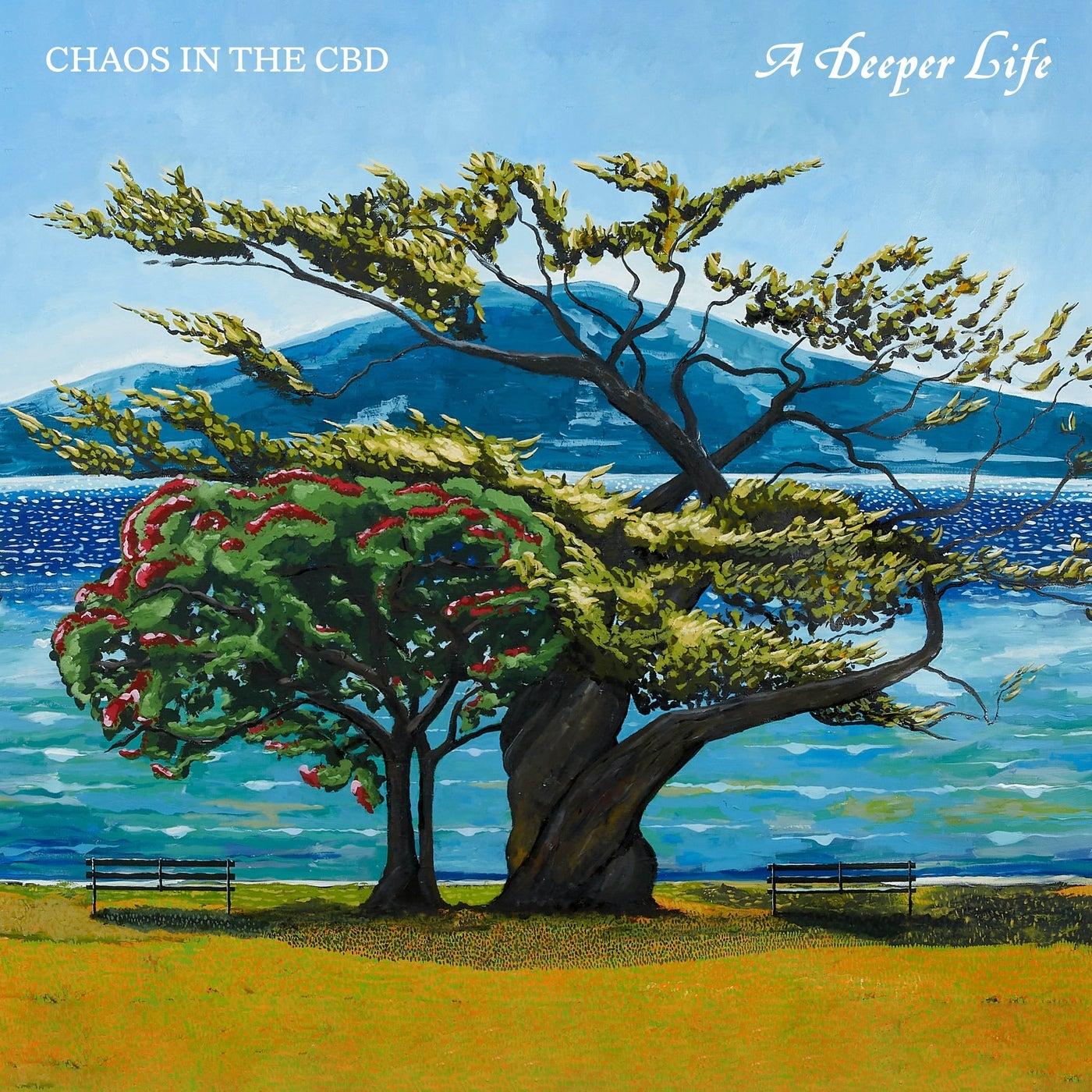 A Deeper Life - Nathan Haines, Chaos In The CBD