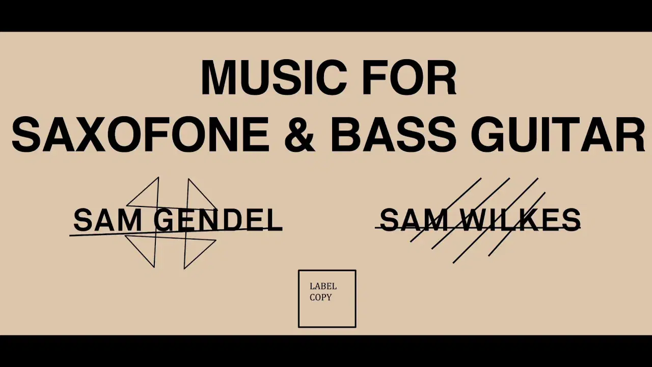 Music for Saxofone and Bass Guitar - Sam Gendel and Sam Wilkes