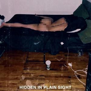 Hidden in Plain Sight - Boldy James, whothehelliscarlo