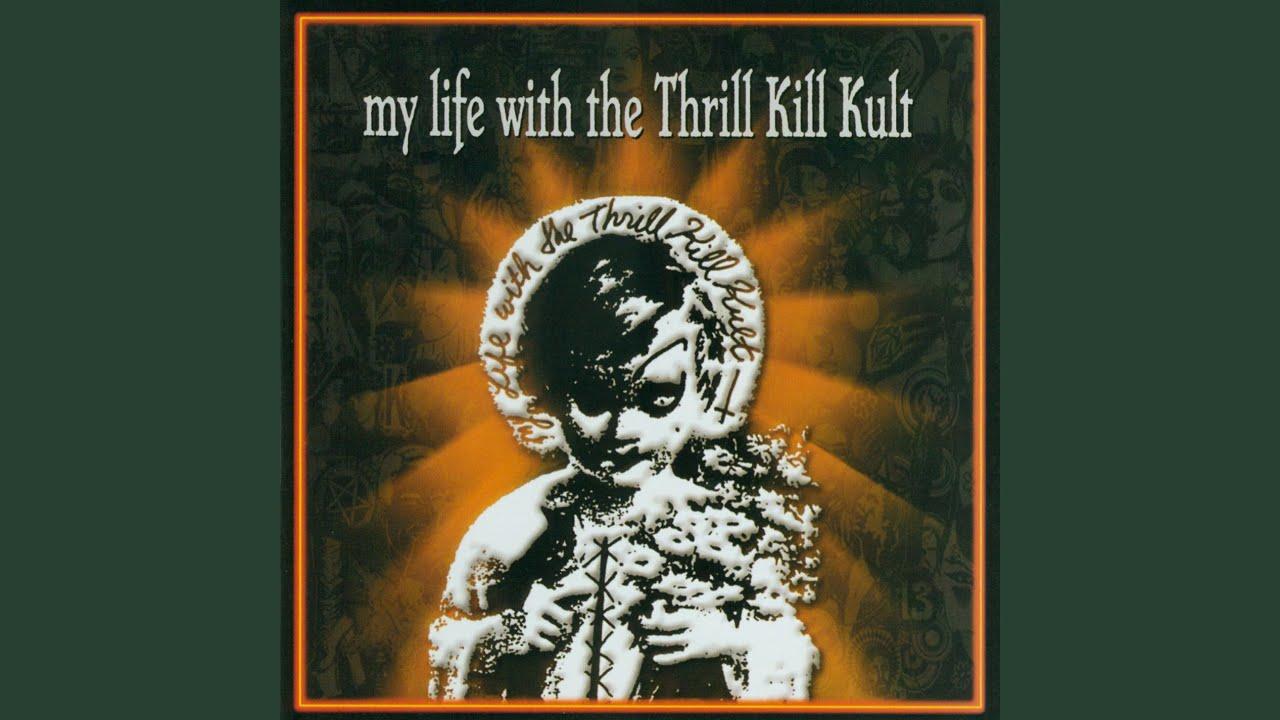 Some Have To Dance . . . / . . . Some Have To Kill - My Life With The Thrill Kill Kult