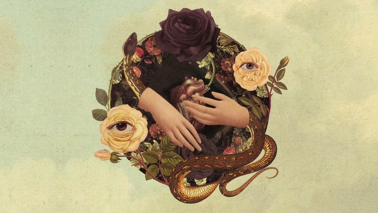 Bloom - Rose Noir